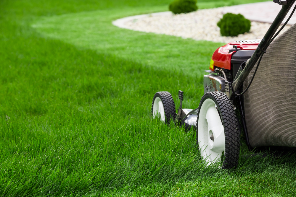 10 Mistakes To Avoid When Starting a Mowing Business